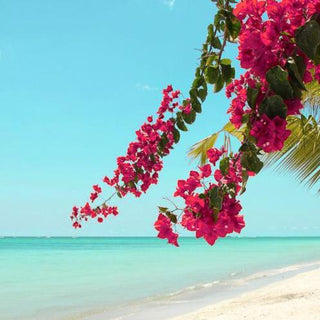 Tie Dye Hand Beaded Wood Flower Designer Turban